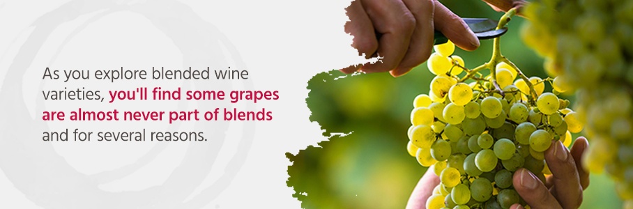 As you explore blended wine varieties, you'll find some grapes are almost never part of blends and for several reasons.