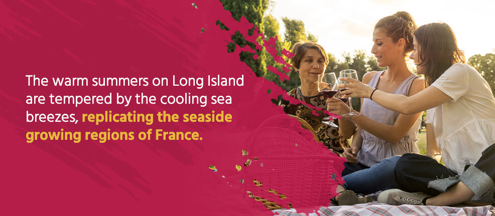 Warm summers on Long Island with cooling sea breezes replicate the seaside growing regions of France