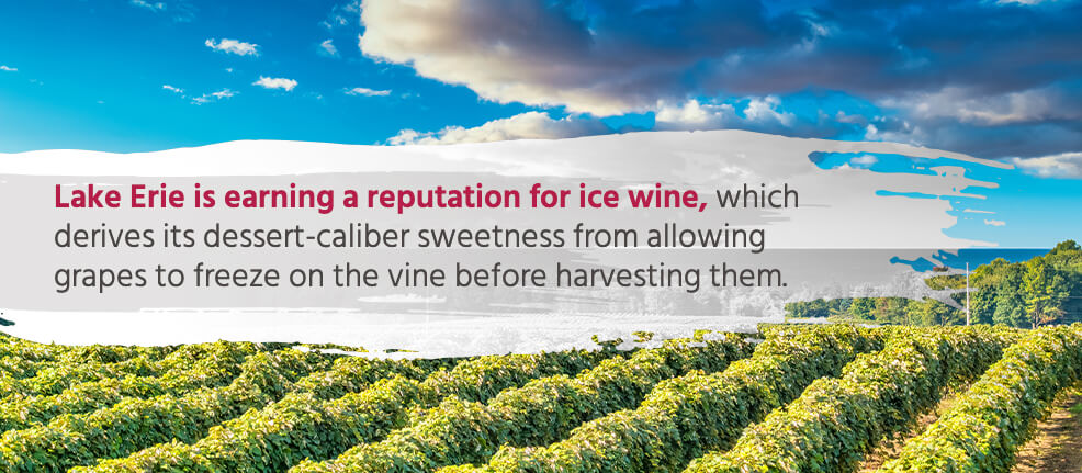 Lake Erie is earning a reputation for ice wine, which derives its dessert-caliber sweetness from allowing grapes to freeze on the vine before harvesting them