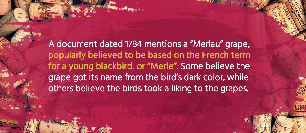 A document dated 1784 mentions a "Merlau" grape, popularly believed to be based on the French term for a young blackbird, or "Merle". Some believe the grape got its name from the bird's dark color, while other believe the birds took a liking to the grapes. 