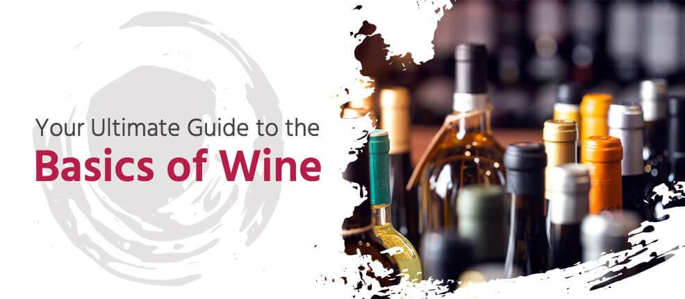 Your Ultimate Guide to the Basics of Wine