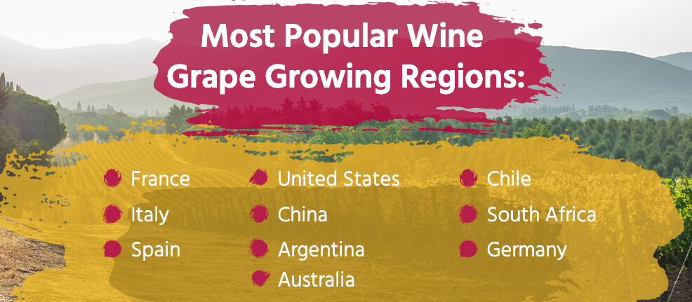 The most popular wine grape growing regions are: France, Italy, Spain, U.S., China, Argentina, Australia, Chile, South Africa, and Germany.