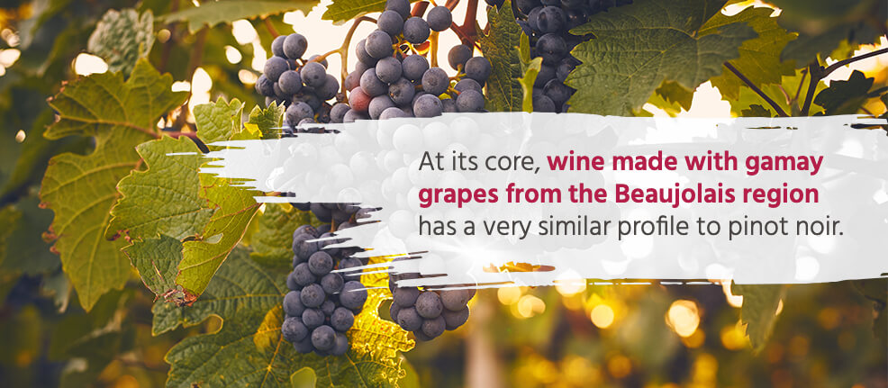 At its core, wine made with gamay grapes from the Beaujolais region has a very similar profile to pinot noir.