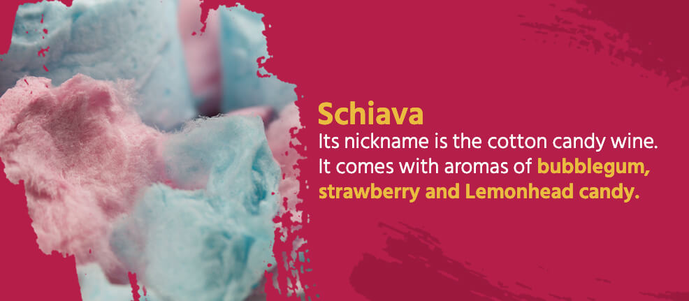 Schiava - Its nickname is the cotton candy wine — it comes with aromas of bubblegum, strawberry and Lemonhead candy.