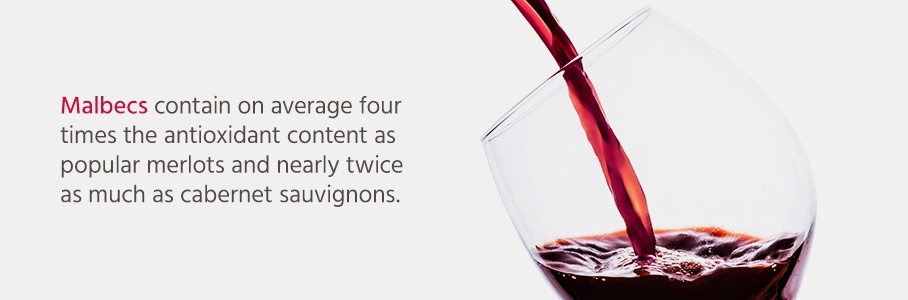 Malbecs contain on average four times the antioxidant content as popular merlots and nearly twice as much as cabernet sauvignons.