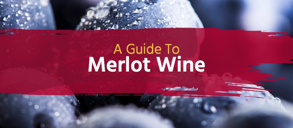 A Guide to Merlot Wine