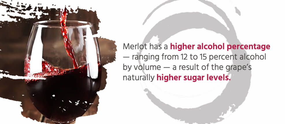 Merlot has a higher alcohol percentage — ranging from 12 to 15 percent alcohol by volume — a result of the grape's naturally higher sugar levels