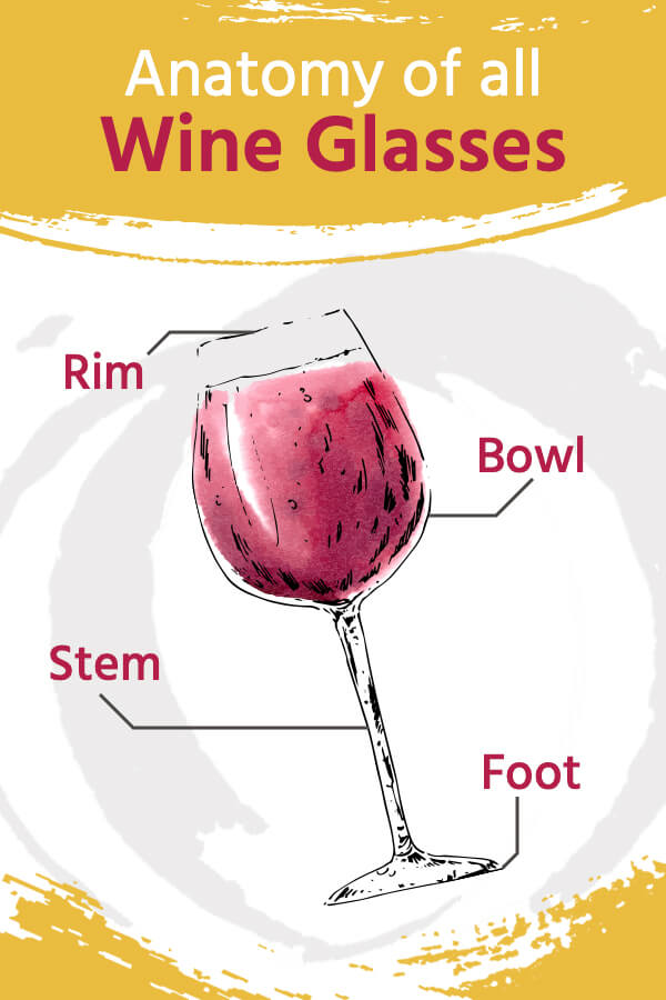 Anatomy of All Wine Glasses: Rim, Bowl, Stem and Foot