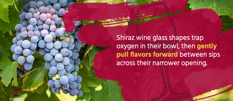 Shiraz wine glass shapes trap oxygen in their bowl, then gently pull flavors forward between sips across their narrower opening.