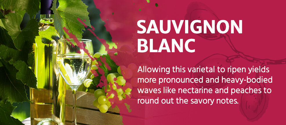 Sauvignon Blanc: This varietal yields more pronounced and heavy-bodied waves like nectarine and peach to round out the savory notes.