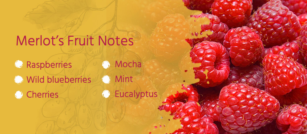 Merlot's Fruit Note