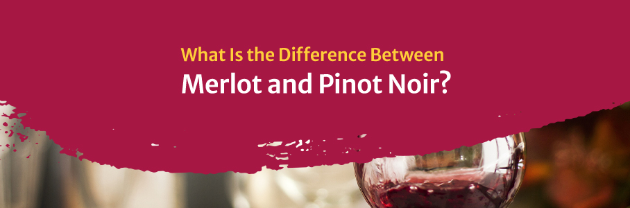 What Is the Difference Between Merlot and Pinot Noir?