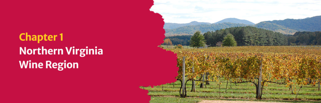 Chapter One: Northern Virginia Wine Region