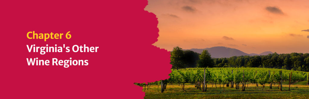 Chapter Six: Virginia's Other Wine Regions
